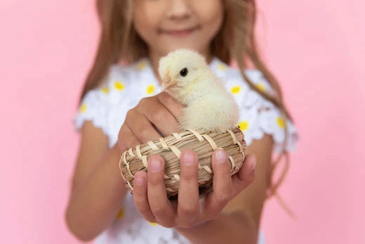 child holding basket with chick