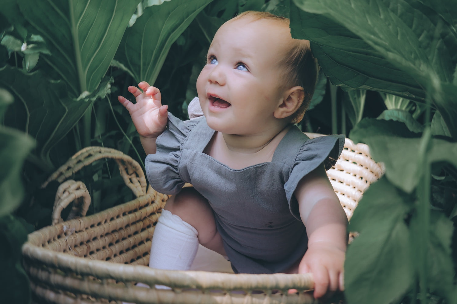 A smiling happy baby in a basket between greenery