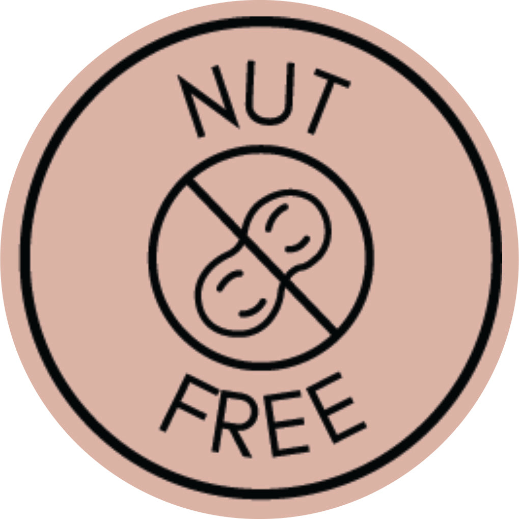 Nut Free Icon